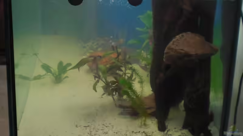 Zum Esszimmer hin von Sascha Becker (3)