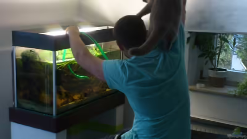 zum Glück, bekomme ich immer Hilfestellung  von Markus J. (23)