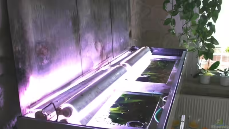 Zum Reinigen wird die Abdeckung senkrecht gestellt und die Röhren einfach nach hinten von @mazonas (41)