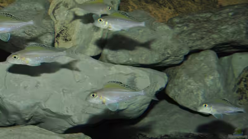 zum Schluß wieder die truppe von Lars Schnabel (29)