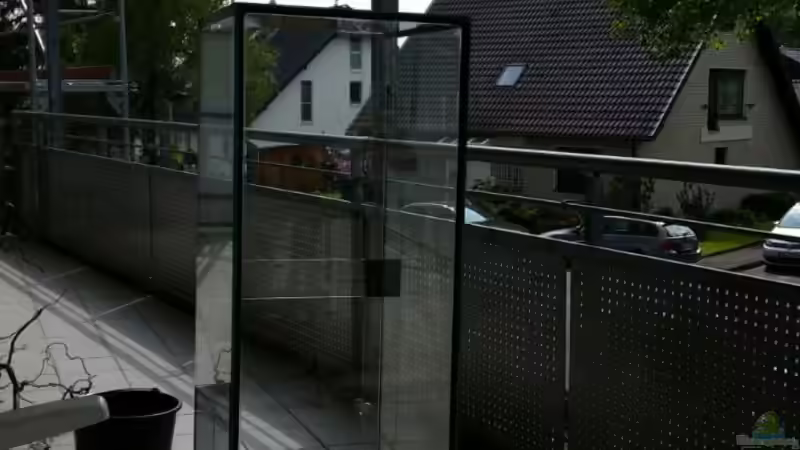 Zunächst mal putzen ;)  von Betta Chris (94)