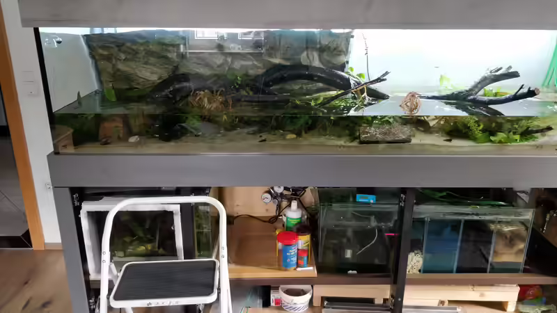 zur Hälfte drin von Woidma (34)