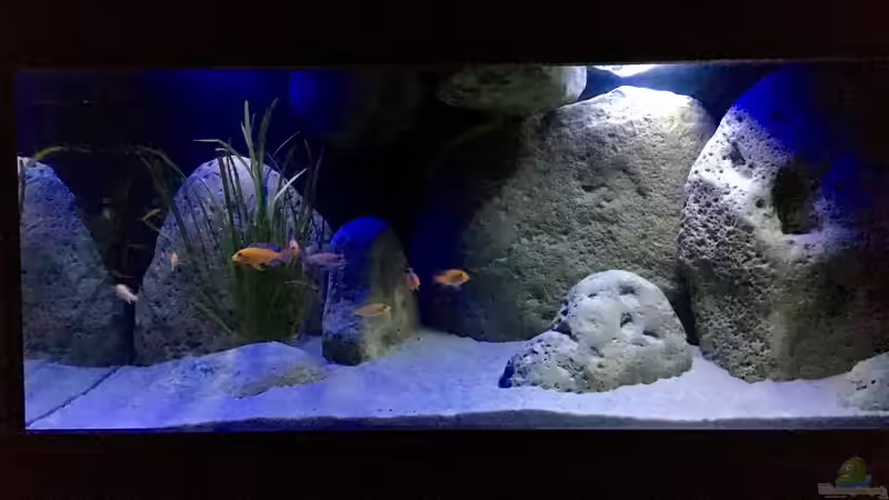 Zur Nacht  von Malawihude (13)