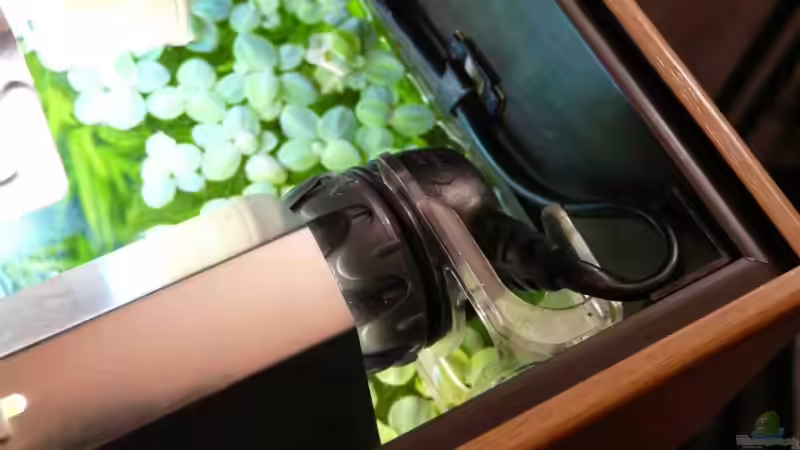 zusätzl. Lampenhalterung von Andy Peter (5)