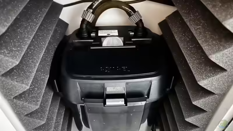 Zusätzlicher Aquael Ultramax 1000 Außenfilter von Thilo (28)