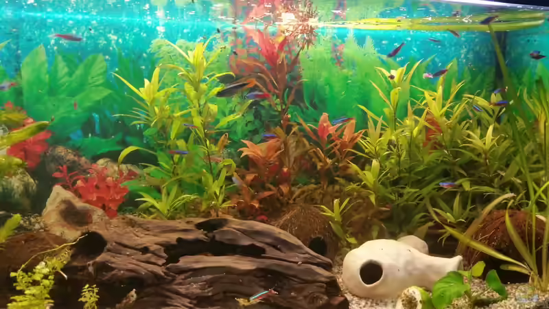 zusammen von SvenDerGroße (26)