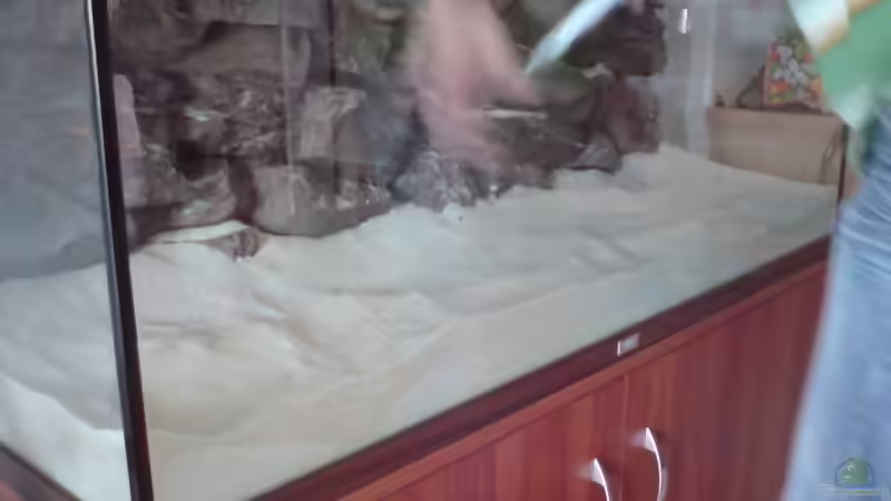 Zusammenkleben der Rückwand mit Aquarien-Silikon (um die Wand ins Becken zu kriegen, musste ich die Wand in der Mitte leider teilen.) von FinalDragon (6)