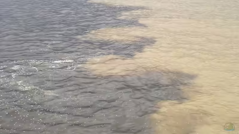 Zusammentreffen des Rio Negro mit dem Amazonas,deutlich zu erkennen. von Florian Bandhauer (26)