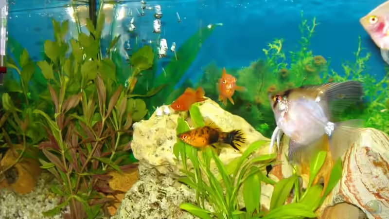 Zusatzbecken 50l von stone (5)