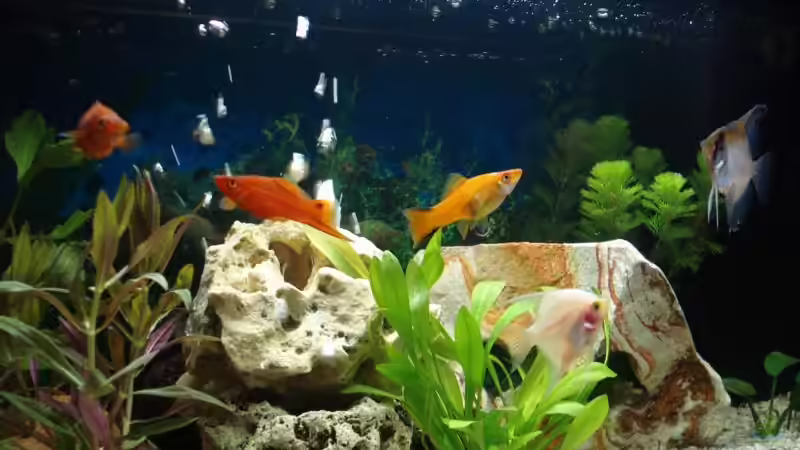 Zusatzbecken 50l von stone (6)