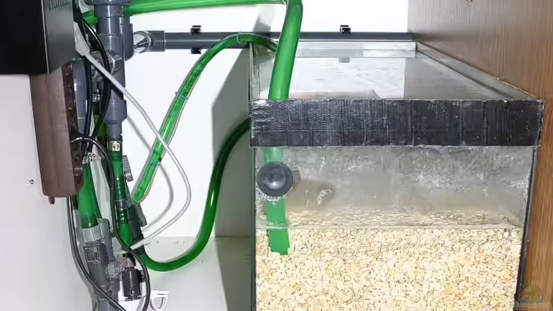 Zusatzfilterbecken gefüllt mit speziellen Filtermaterialen zum Abbau von Nitrat und Phosphat und mit Alpha-Marin. von Ingo (26)