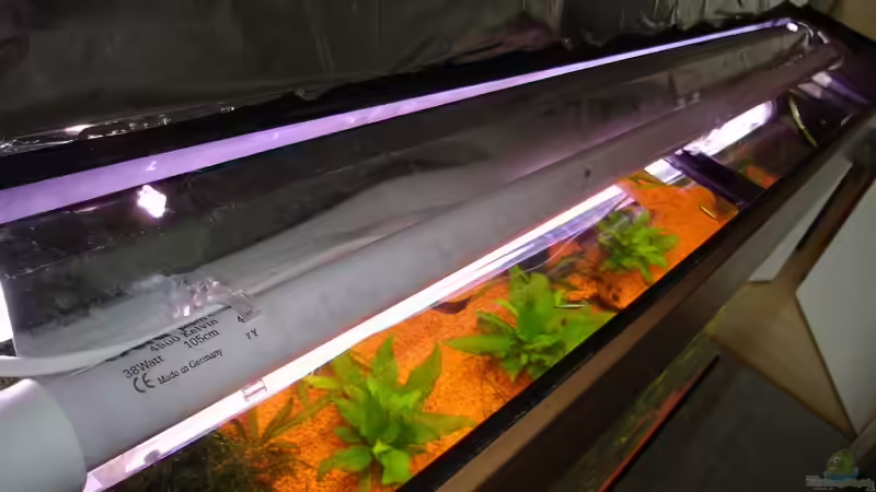 Zusatzröhre von Robert Hötzinger (2)