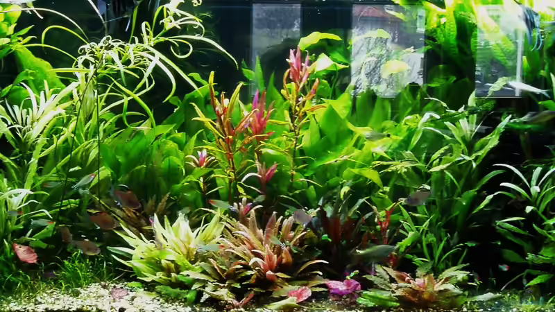 Zustand 10.03.2018 - 3 Monate nach Start von Reiner Dr. Med. Jesse (8)