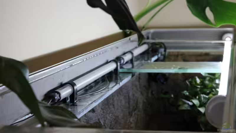 zwei der LED-Leuchtstäbe von AlexDhc (10)