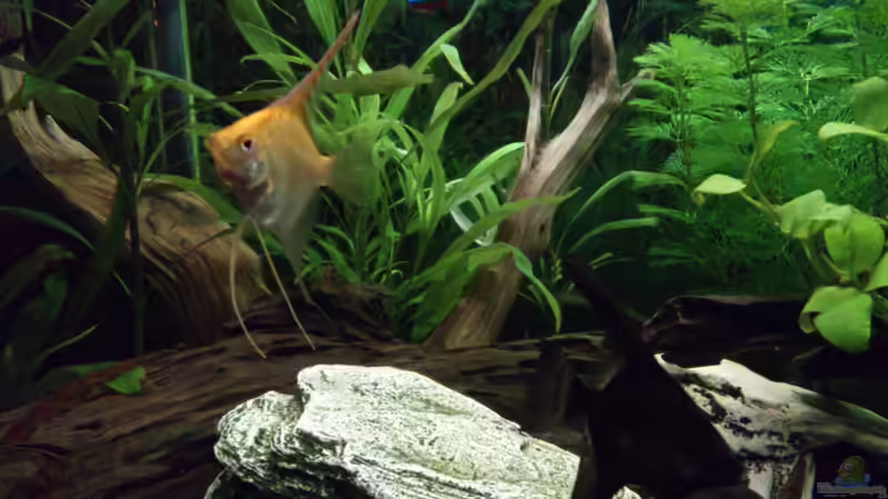 Zwei die sich finden ??? von Stephan Groß (21)