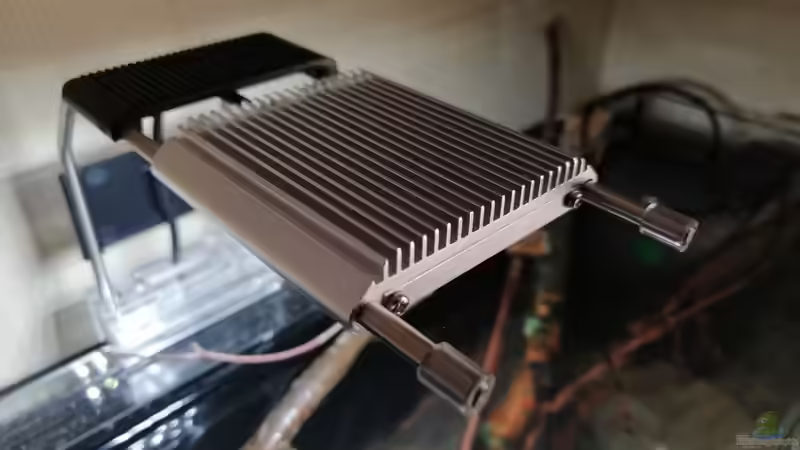 Zwei Eheim-LED Klemmleuchten 7000K von Tim Buktu (10)