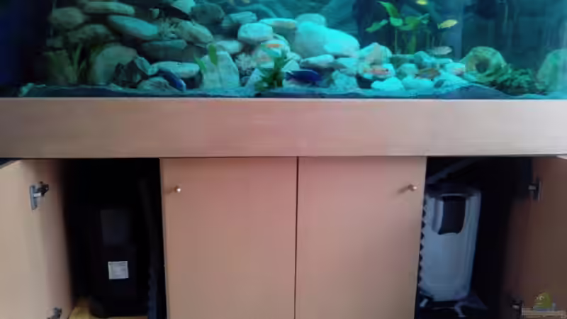 zwei Filter mit jeh 2000l/h von Marcel Wagner (15)