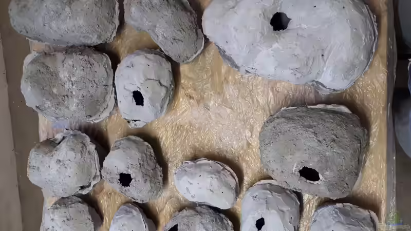 Zwei Hälften zusammen kleben mit Silikon von Malawi22 (12)