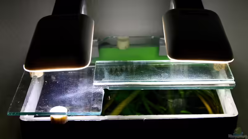 Zwei LED leuchten mit ca 7 W von Nano Jojo (4)