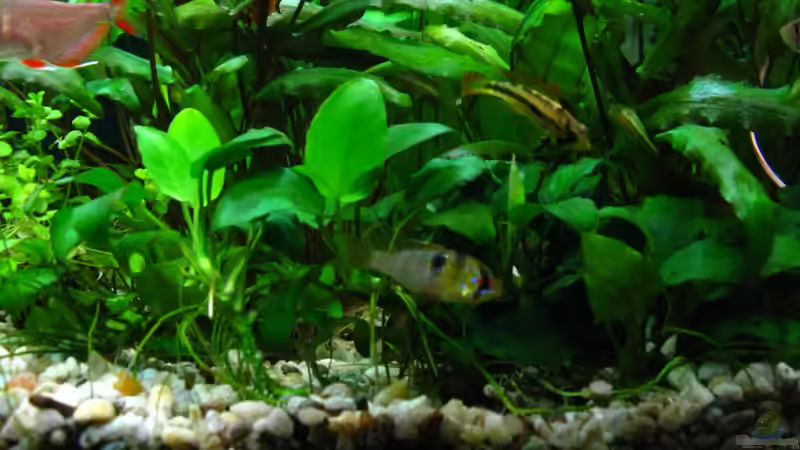 zwei Mädels (9.1.2013) von NicoleZH (25)