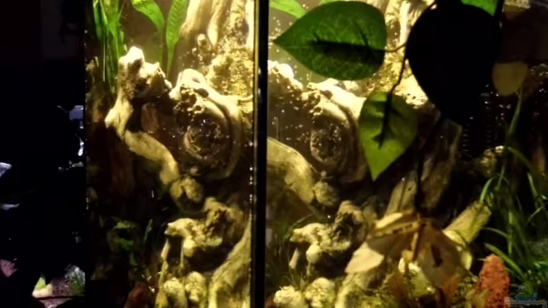 Zwei-Seitenansicht von snooze (3)