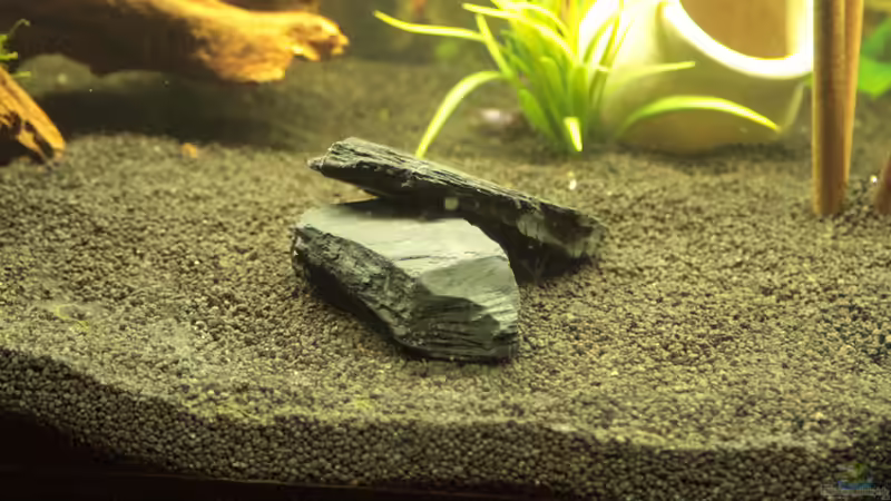 Zwei Steine für eine ´kleine´ Höhle von Didi Don (10)