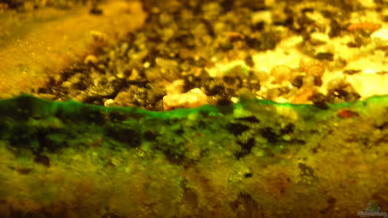 Zwei Tage nach dem letzten TWW & Scheibenreinigung. (17.10.2012) von Südamerikafreak BK (3)