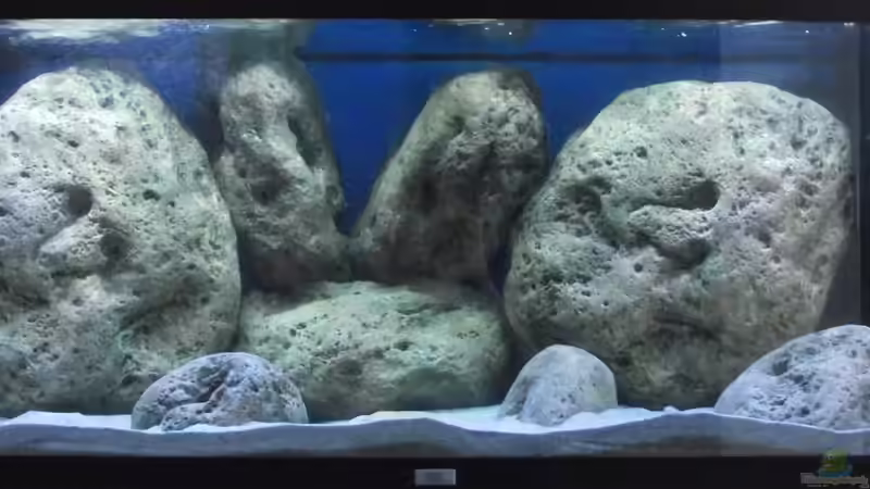 Zwei Tage nach der Befüllung von MichaB (11)