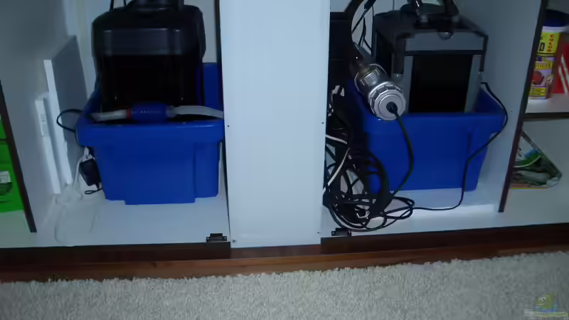 zwei Topffilter insg. 2900 l/h von Sebastian Pietrzyk (17)