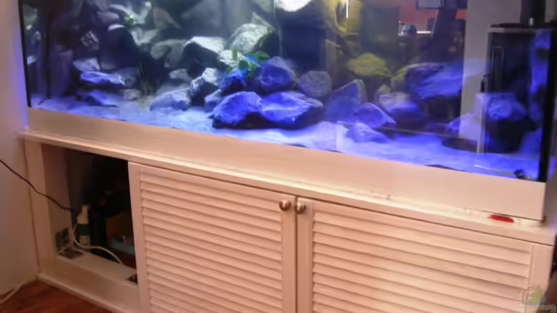 Zwei Türen montiert und Wasser einlaufen lassen von bossie1704 (31)