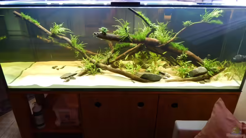 Zwei Wochen nach Ersteinrichtung von Merotheq (12)