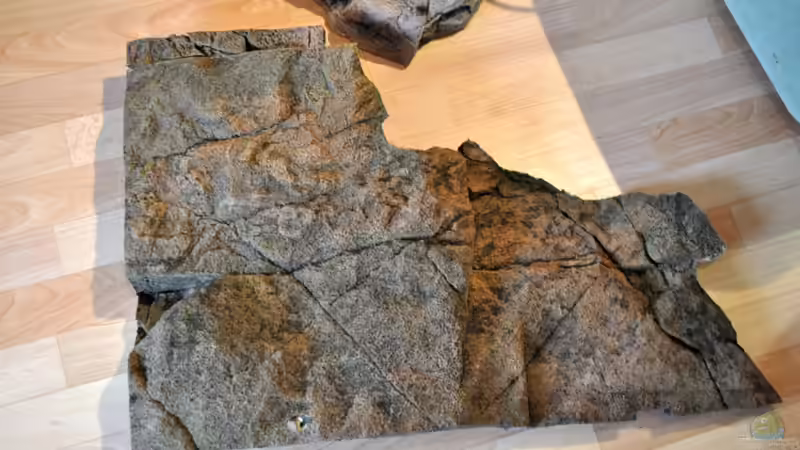 Zweite Hälfte von Vladi (20)