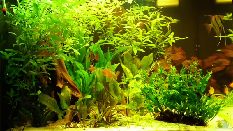 zweite Seite von Ulrich Corsten (4)