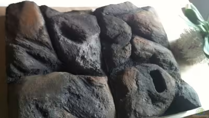 Zweite und letzte Anstrich von Dynnarts (13)