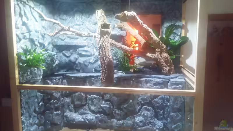 Zweite Woche es wird von M.G (5)