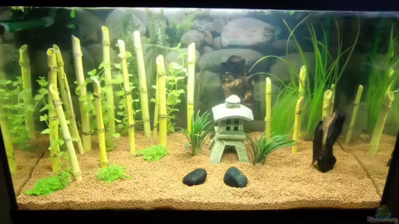 zweiter entwurf von EcoSyS (4)