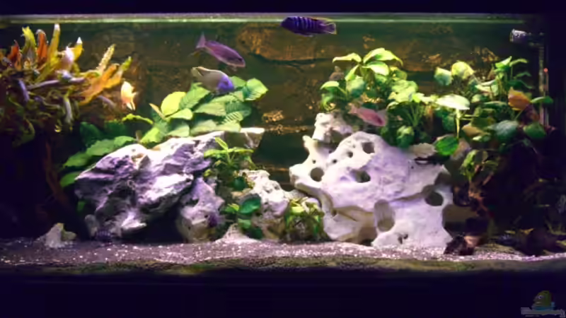 zweiter Umbau 13.05.2007 von Dominic Zuccarelli (4)