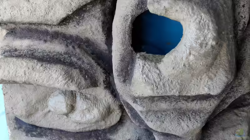 zweiter Versuch, Seitenteil rechts im Rohzustand von Cruiser Bruno (37)