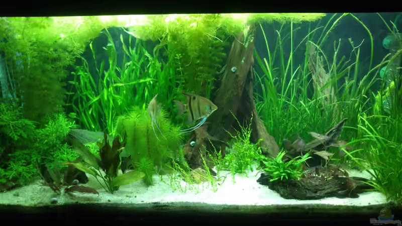 Zweites Hauptbild von Fuujida (4)