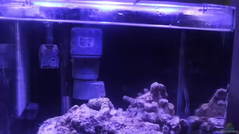 Zwischenlichtphase von chrisi01 (17)