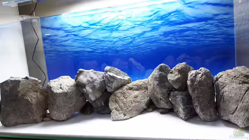 Zwischenräume der Steine mit kleinen Steinen verschlossen von Der Nicky (48)