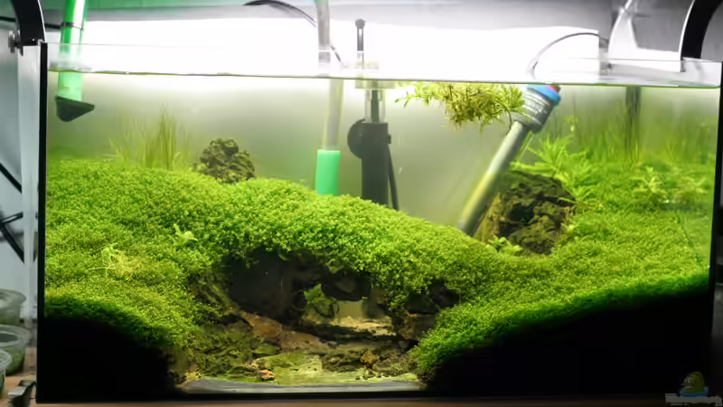 zwischenreinigung von Microsash (9)