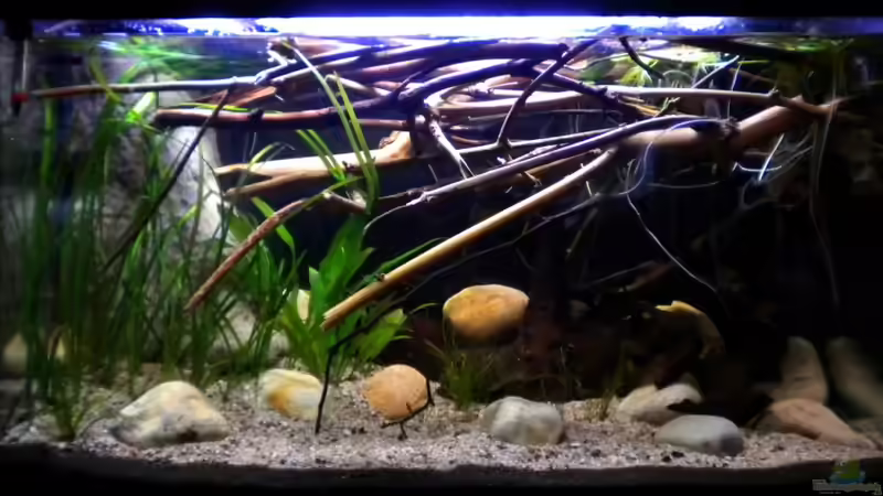 Zwischenstand am 11.11.2010 von Benjamin Hamann (9)