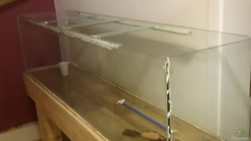 Zwischenstand am 13.12. von Stefano83 (4)