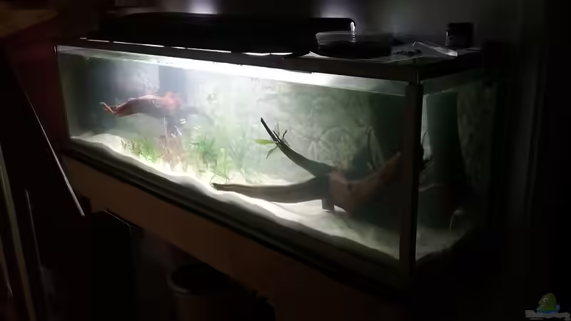 Zwischenstand am 29.12.2018, noch provisorisch beleuchtet von Stefano83 (9)