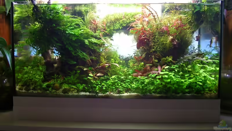 Zwischenstand September von Fredo Fuss (3)