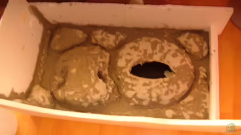 Zwischenstand zweites Teil von Frank Hopp (19)