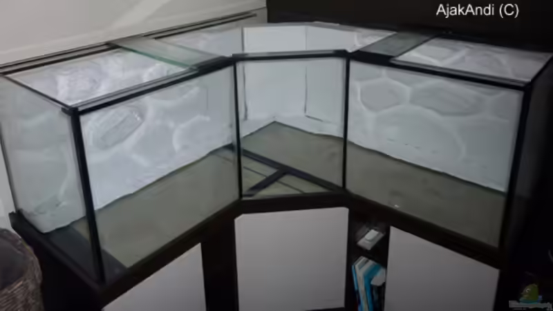 zwischenzeitlich im Becken anpassen... von AjakAndi (7)