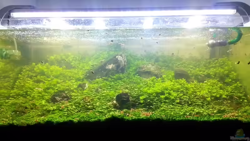 Zwischenzeitlich sah es so aus von Sven-0. (3)