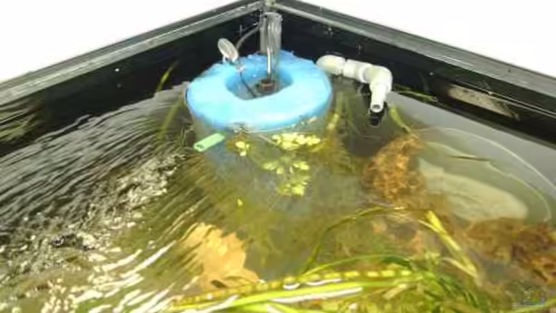 Zylindrischer Mattenfilter - geöffnet mit Heizstab und Pumpe von Andreas Gross (8)